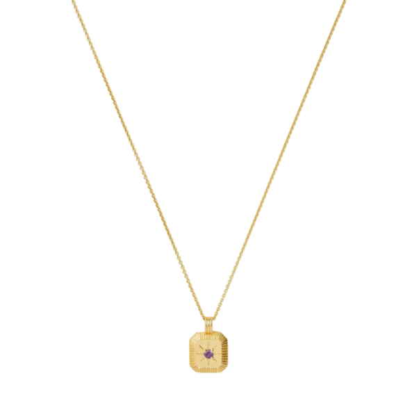 MISSOMA hálsmen silfur  Ferbrúar mánaðarsteinn